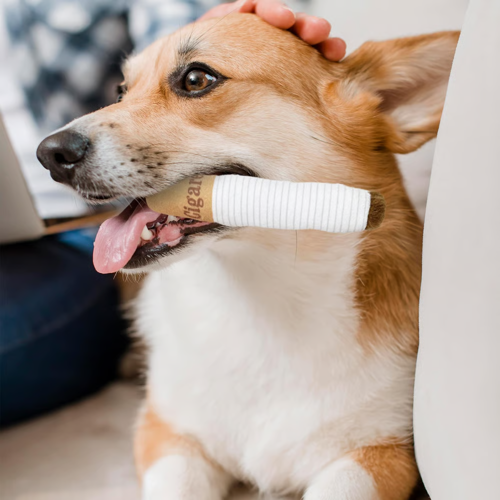 Funny Interactive Giggle Sound Plush Dog Toys